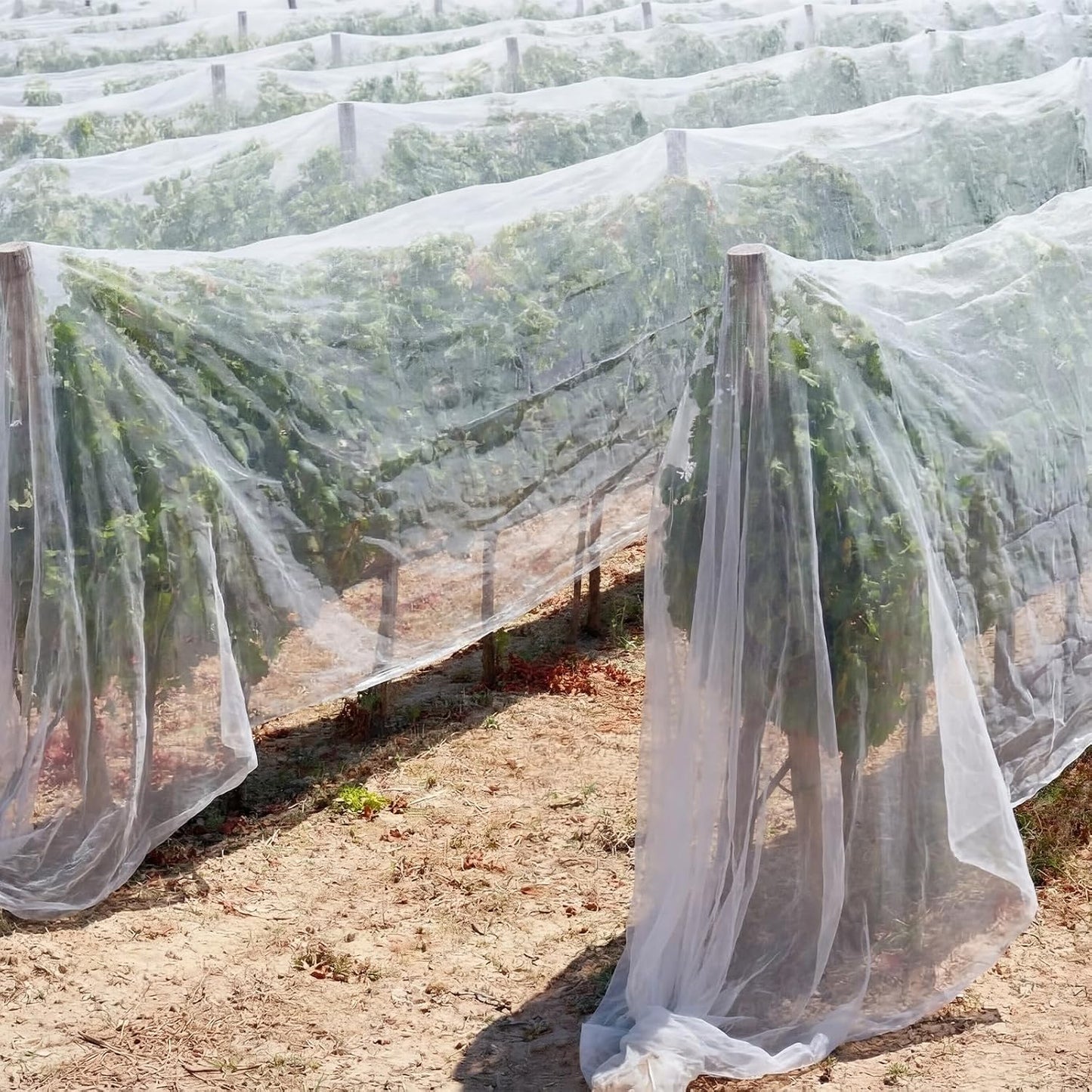 15 x 33 ft Garden Mesh Netting Insect Mosquito Net, White, 1 Pcs