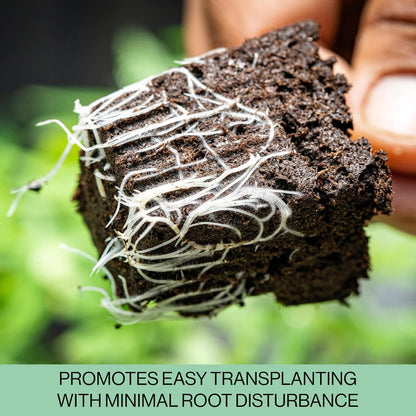 Seed Starter Trays, 144 Cells (24 Trays - 6 Cells Per Tray) + Plant Stakes