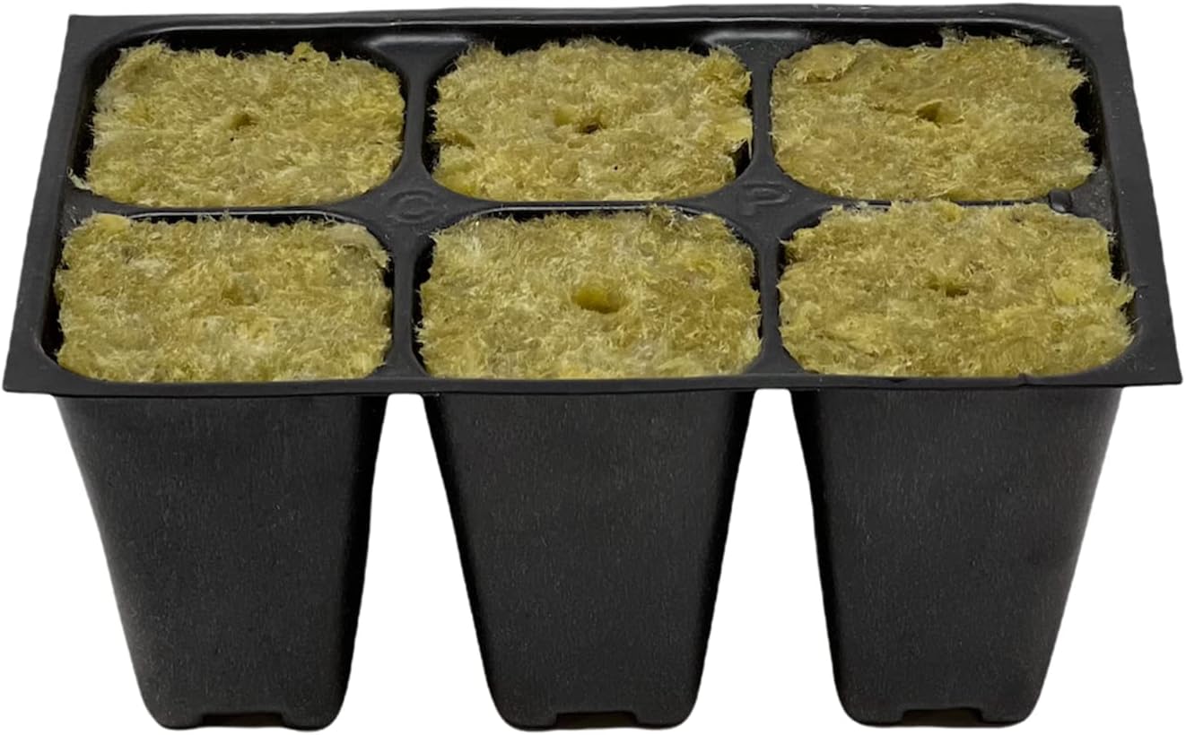 Seed Starter Trays, 144 Cells (24 Trays - 6 Cells Per Tray) + Plant Stakes