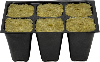 Seed Starter Trays, 144 Cells (24 Trays - 6 Cells Per Tray) + Plant Stakes