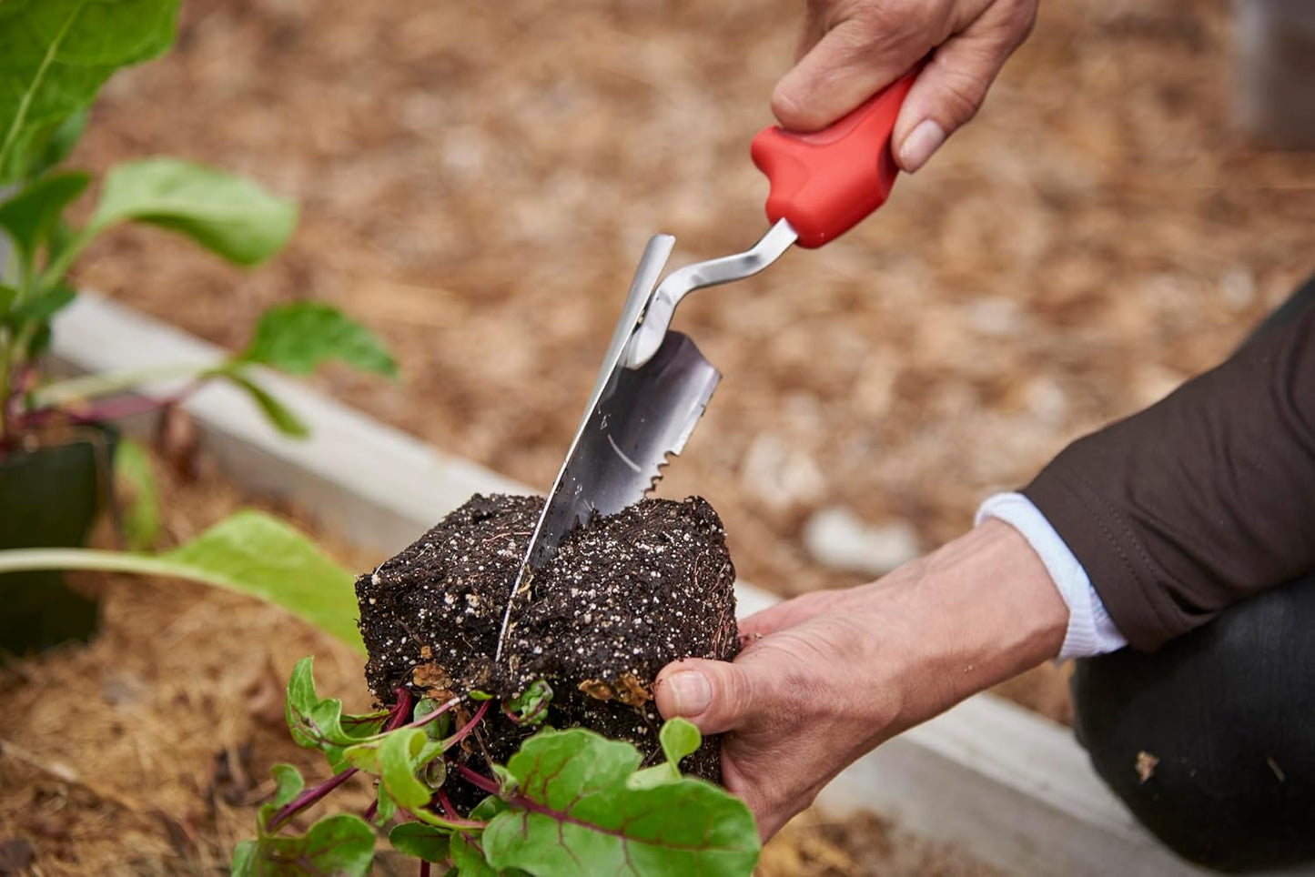 Corona Premium Stainless Steel ComfortGEL Cultivator caltivator, red