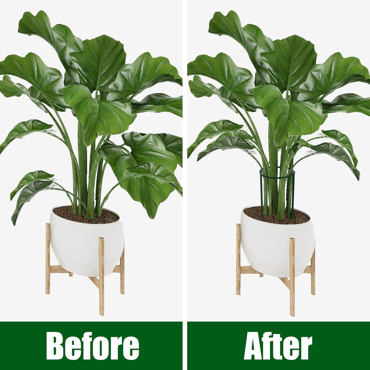 Peony Cages and Supports, 6 Pack Plant Support Stakes for Outdoor & Indoor Plants, 10" W x 16" H Half Round Garden Plant Support Rings for Peonies, Hydrangeas, Roses, Dahlias