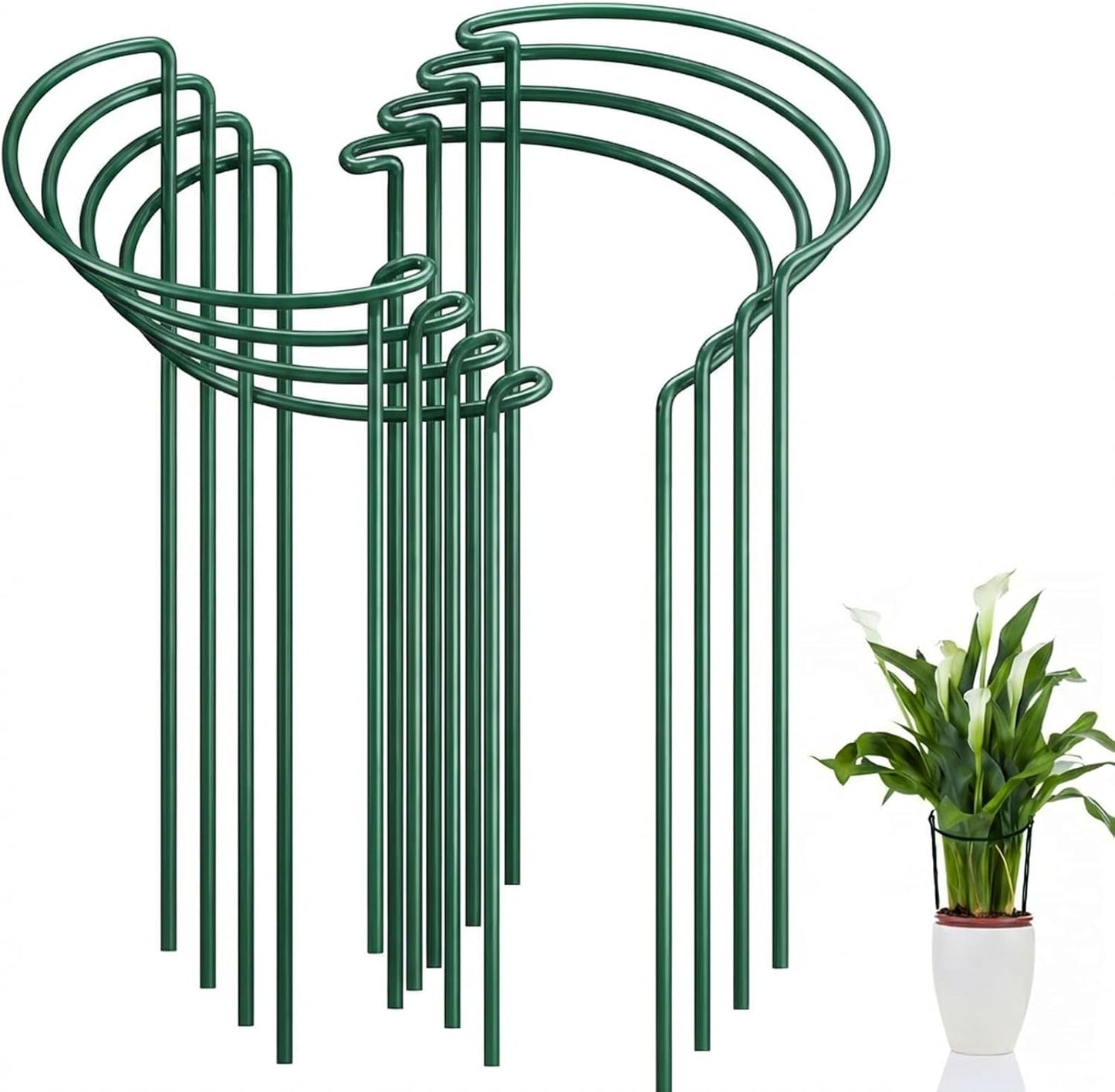 Peony Cages and Supports, 6 Pack Plant Support Stakes for Outdoor & Indoor Plants, 10" W x 16" H Half Round Garden Plant Support Rings for Peonies, Hydrangeas, Roses, Dahlias