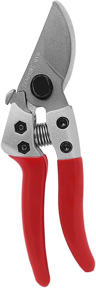 Pruning Shear, 6-Inch