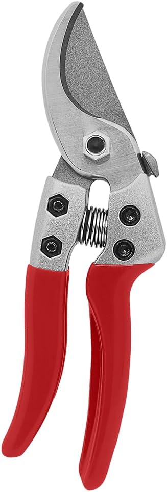 Pruning Shear, 6-Inch