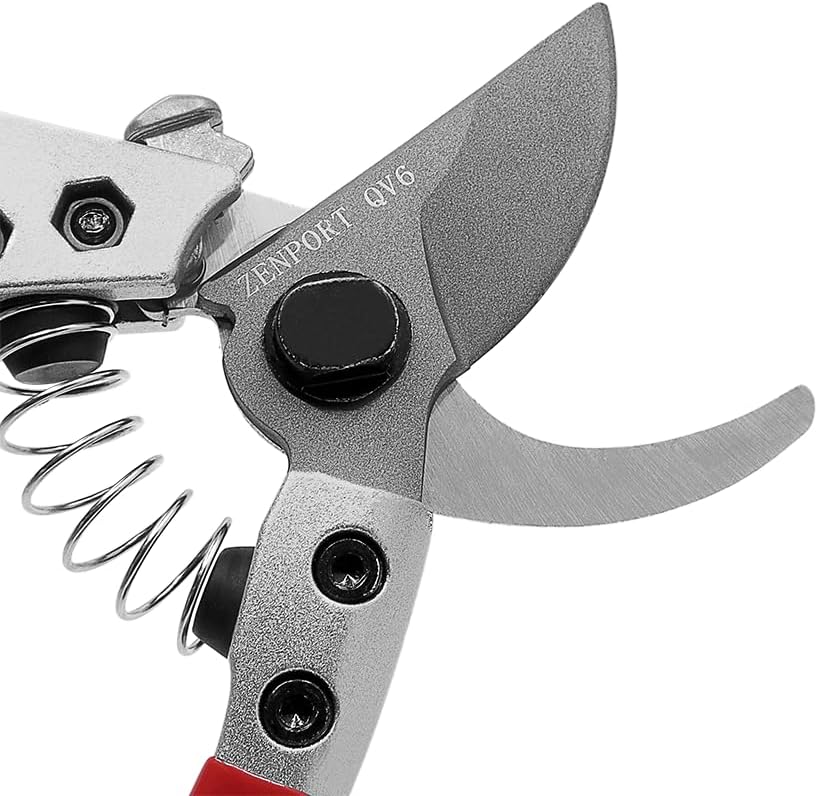 Pruning Shear, 6-Inch