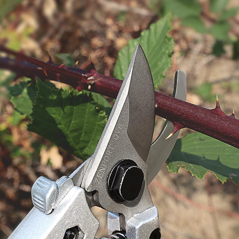 Pruning Shear, 6-Inch