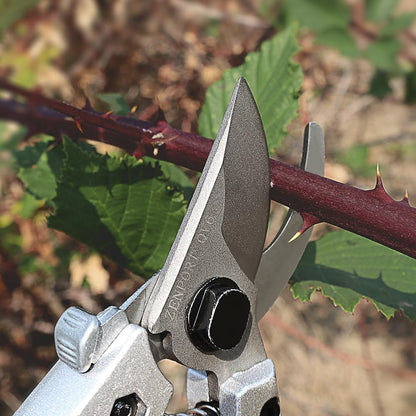 Pruning Shear, 6-Inch