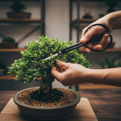 Bonsai Tools Set 7Pcs, Bonsai Tree Tools Kit Succulent Trimming Tools Include Scissors, Cutters, Rake, Round and Pointed Shovel &Training Wire for Bonsai Beginner Gardening Gifts