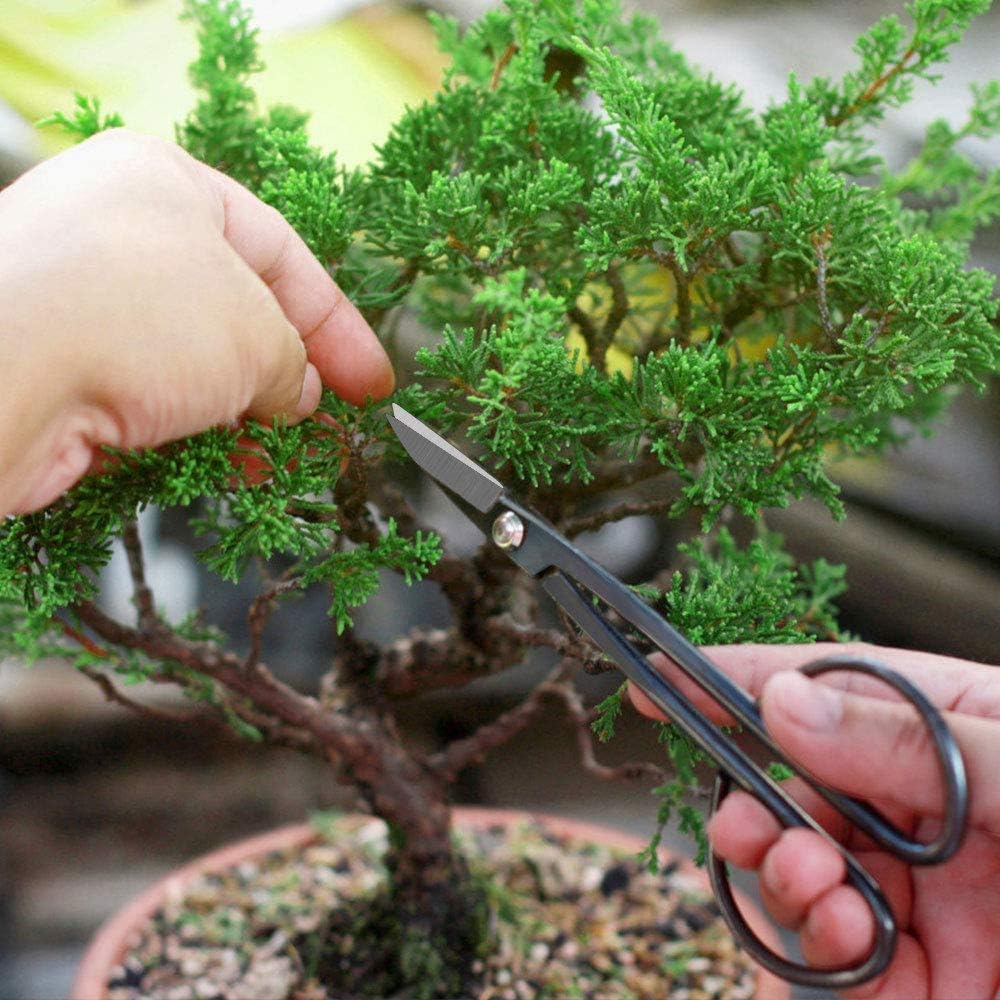 Bonsai Tools Set 7Pcs, Bonsai Tree Tools Kit Succulent Trimming Tools Include Scissors, Cutters, Rake, Round and Pointed Shovel &Training Wire for Bonsai Beginner Gardening Gifts