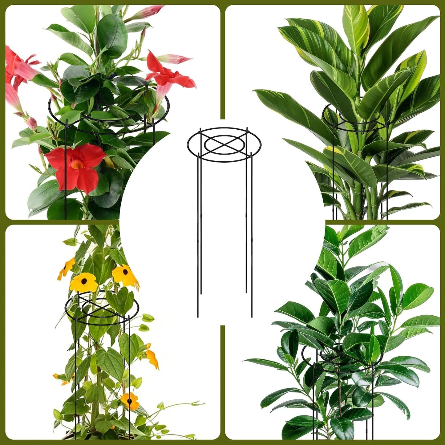 11.8" Dx31.5 H Peony Cages and Supports, 4 Pack Plant Supports for Outdoor Plants Grow Through Hoops Grids Heavy Duty Metal Peony Support Cage Flower Support Rings for Rose Tomato Hydrangea etc