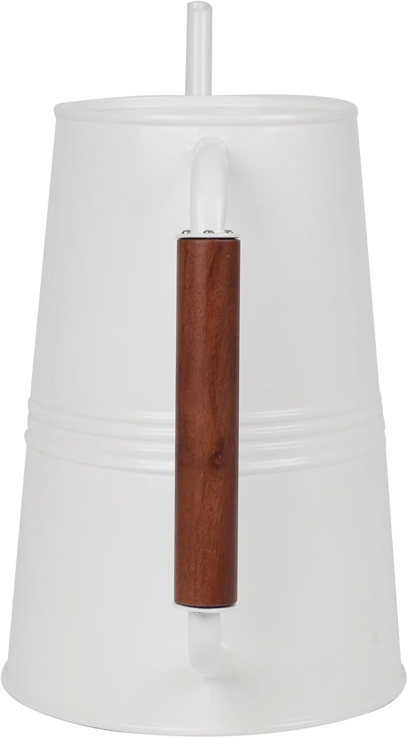 Metal Watering Can with Long Spout & Wooden Grip Handle,1 Gallon,White