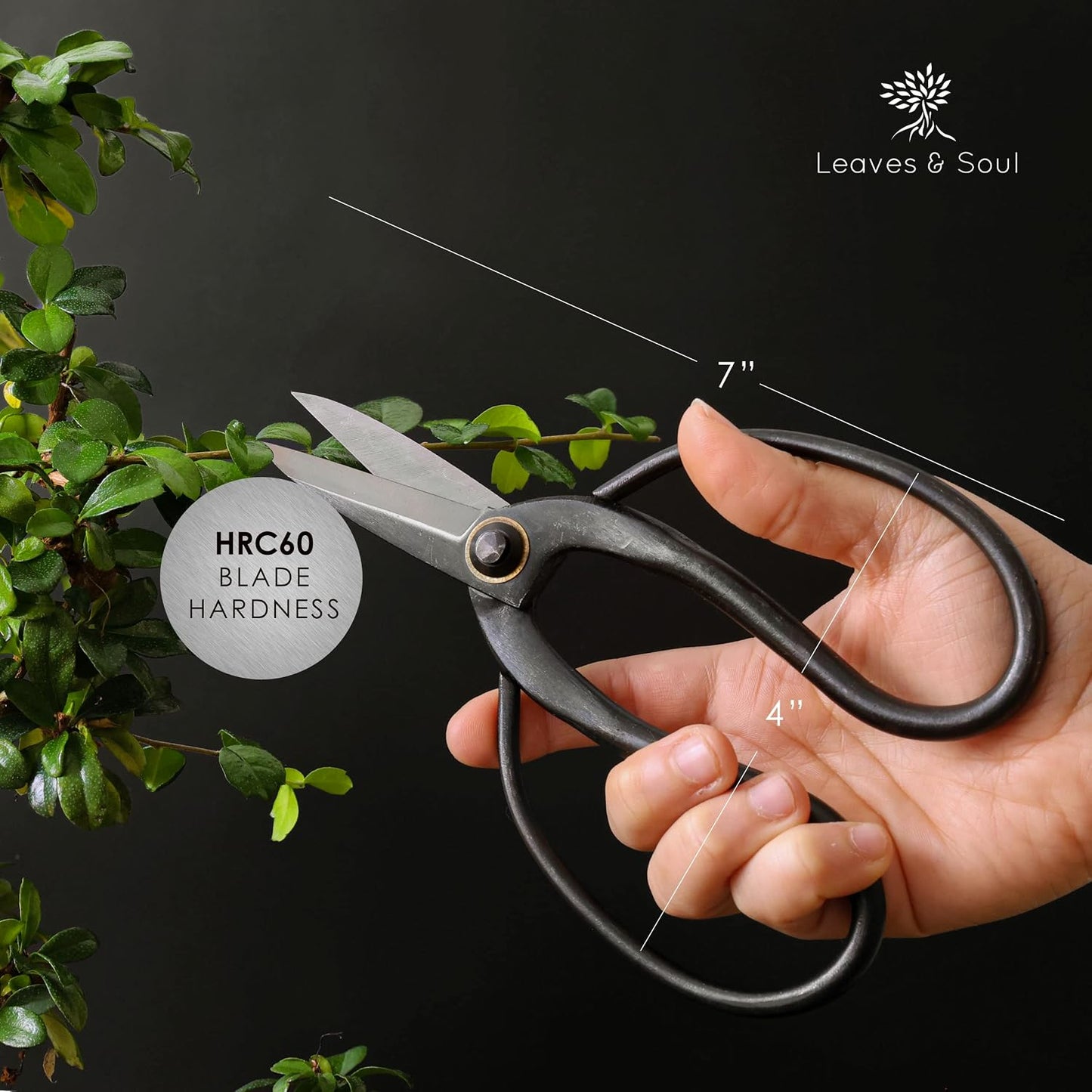 Bonsai Butterfly Scissors Bonsai Tools for Trimming & Pruning