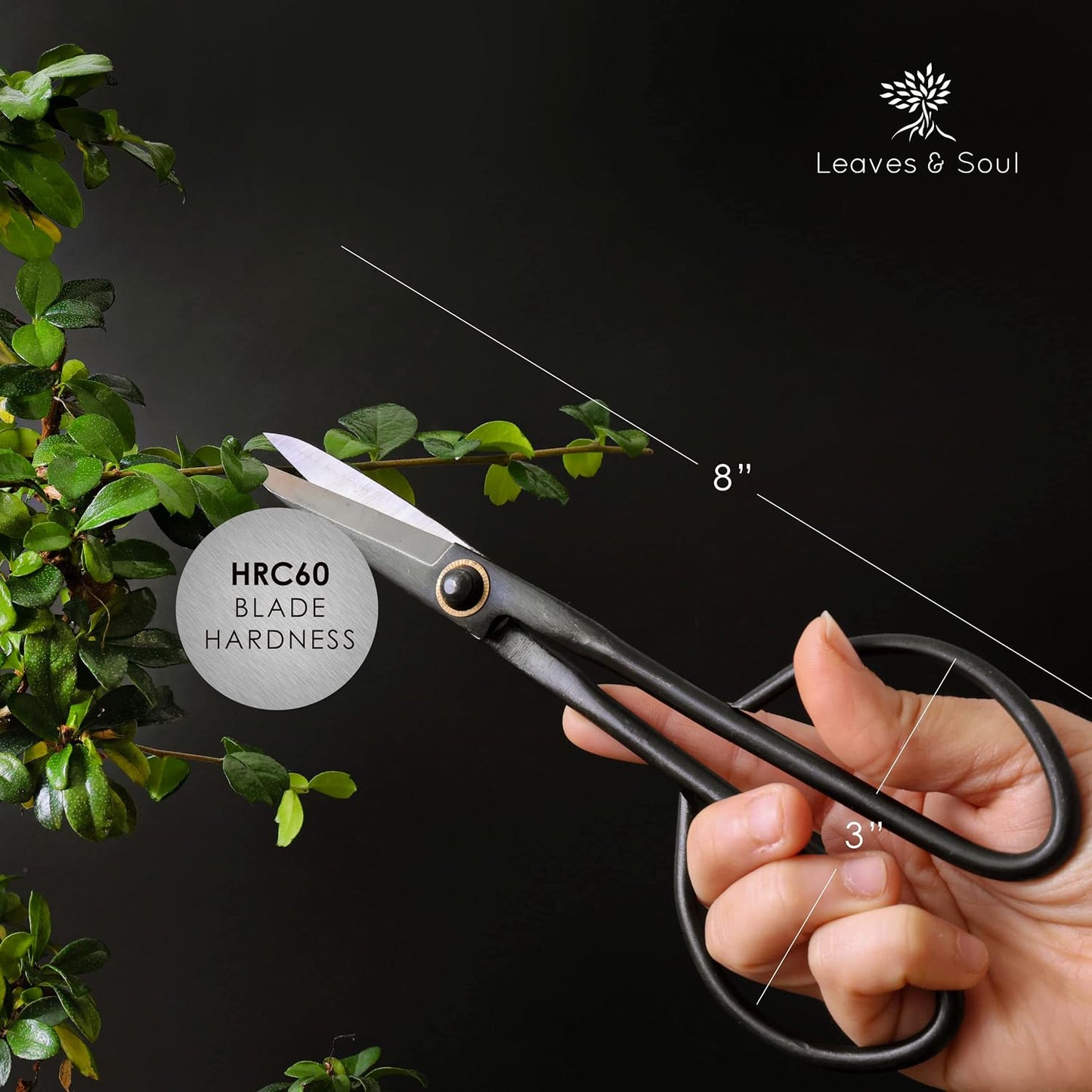 Bonsai Butterfly Scissors Bonsai Tools for Trimming & Pruning
