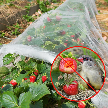 Garden Netting 10 X 50 FT Ultra Fine Netting for Garden Protection,Garden Netting for Raised Beds,Mosquito Net for Blueberry Shrubs Vegetables Fruits Flowers Crops Pest Barrier