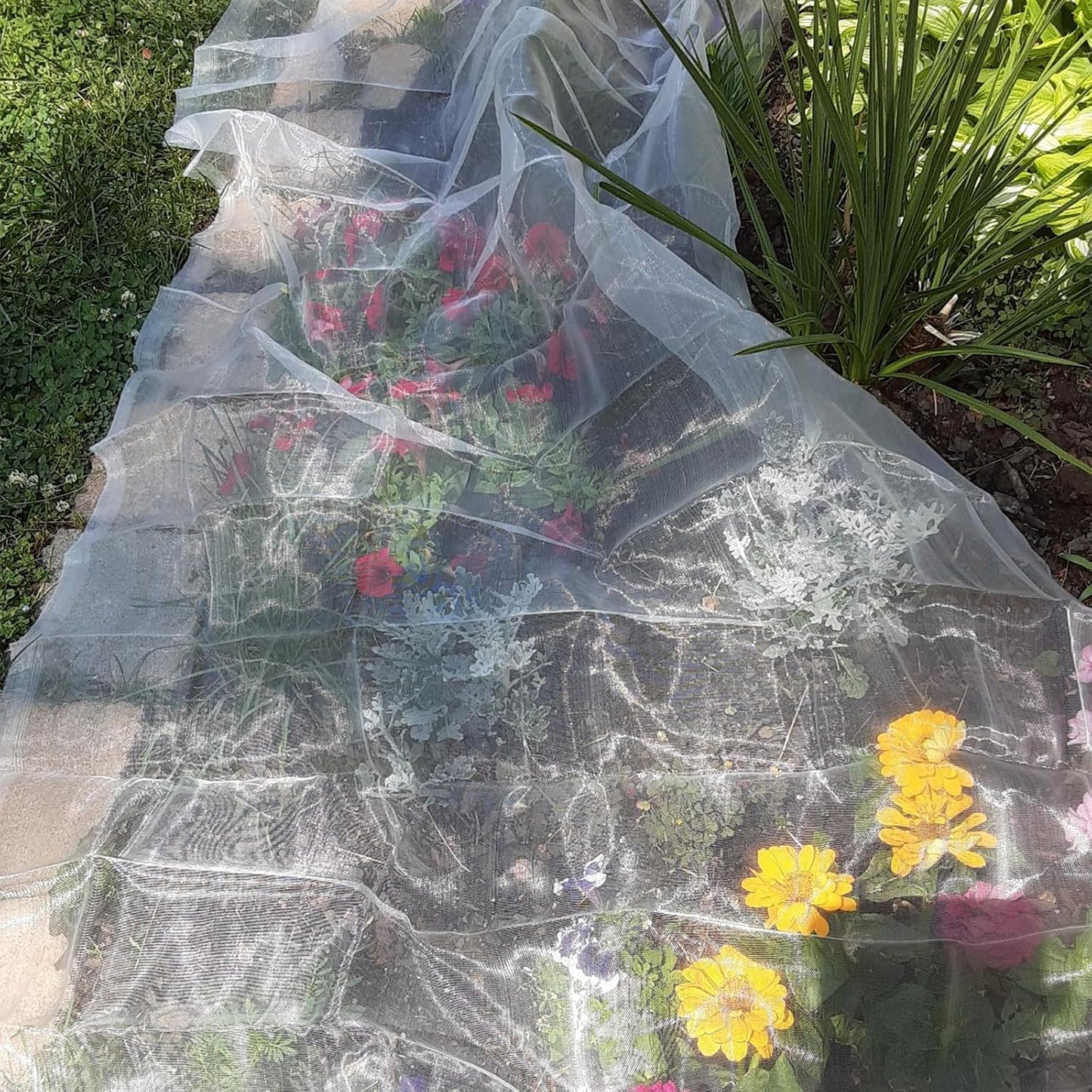 Garden Netting 10 X 50 FT Ultra Fine Netting for Garden Protection,Garden Netting for Raised Beds,Mosquito Net for Blueberry Shrubs Vegetables Fruits Flowers Crops Pest Barrier