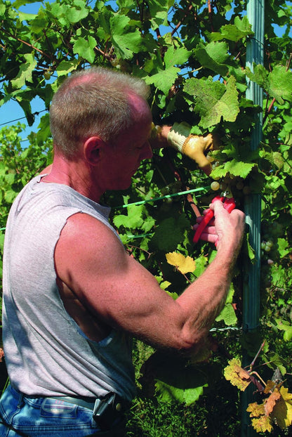 F322 Pruning Snips – 9.84" Garden Clippers with Curved Blade & Rounded Tip | Pruning Shears for Gardening | Garden Snips and Pruners with Carbon Steel Blade, Sap Groove