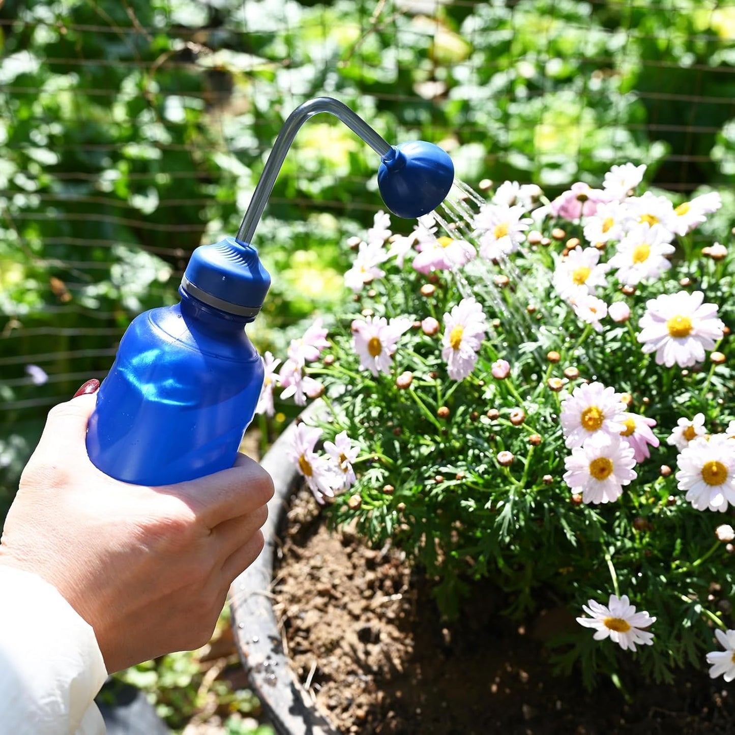 Watering Can for Seedlings, 15oz/0.45l (Blue)