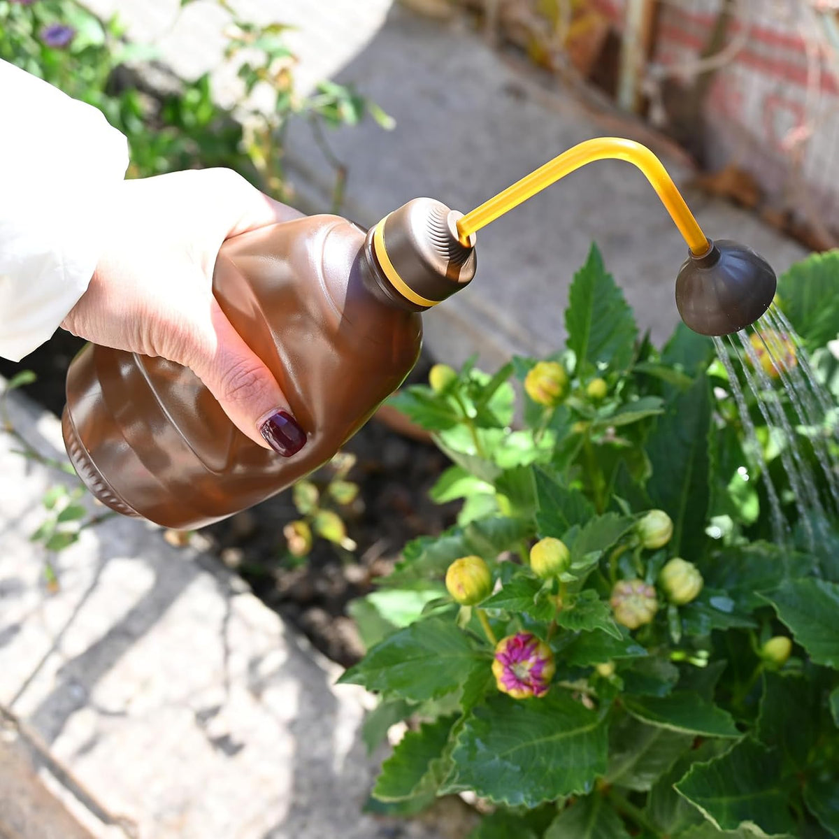 Watering Can for Seedlings, 15oz/0.45l (Blue)