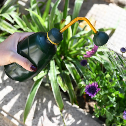 Watering Can for Seedlings, 15oz/0.45l (Blue)