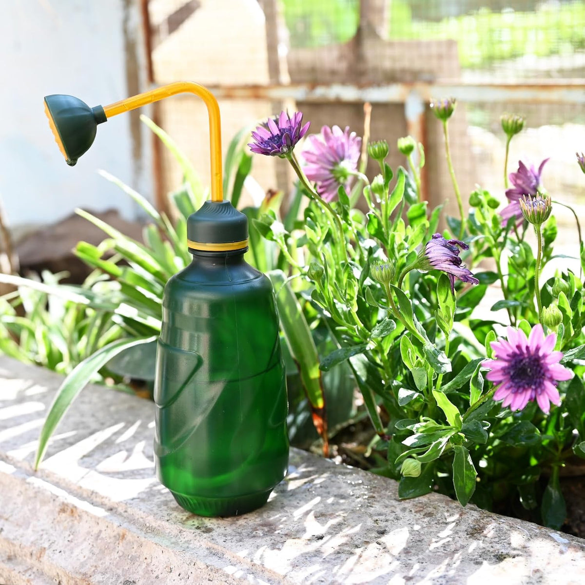 Watering Can for Seedlings, 15oz/0.45l (Blue)
