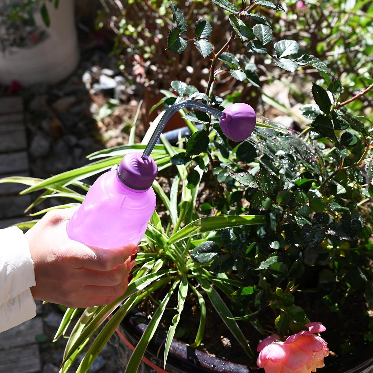 Watering Can for Seedlings, 15oz/0.45l (Blue)