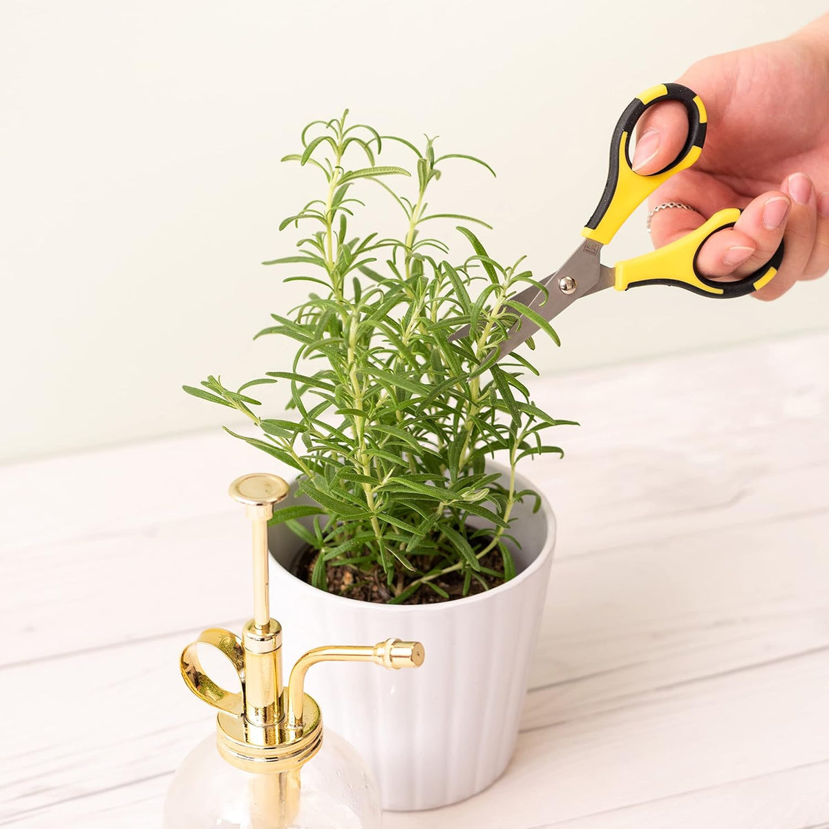 Cutter Bee Precision Craft Scissors - Small Ergonomic Scissors with Micro Tip for Cutting Paper, Herbs, and More - Stainless Steel Blades, Yellow and Black