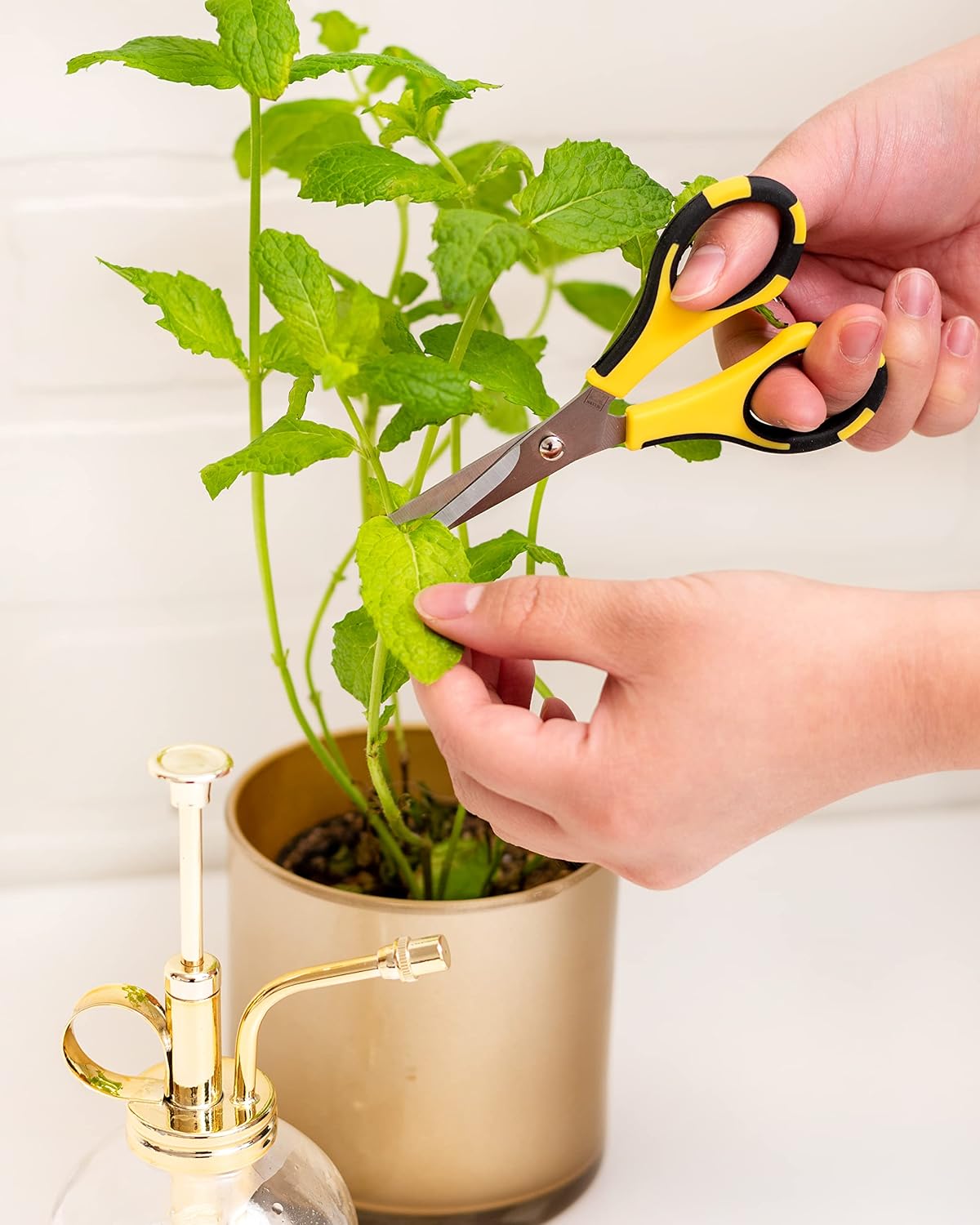 Cutter Bee Precision Craft Scissors - Small Ergonomic Scissors with Micro Tip for Cutting Paper, Herbs, and More - Stainless Steel Blades, Yellow and Black