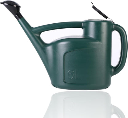 Small Watering Can for Indoor Plants, 0.8 Gallon Plastic Plant Watering Can with Long Spout, Lid and Detachable Sprinkler Head, 3L Lightweight Watering Pot for House Plants and Garden Flower