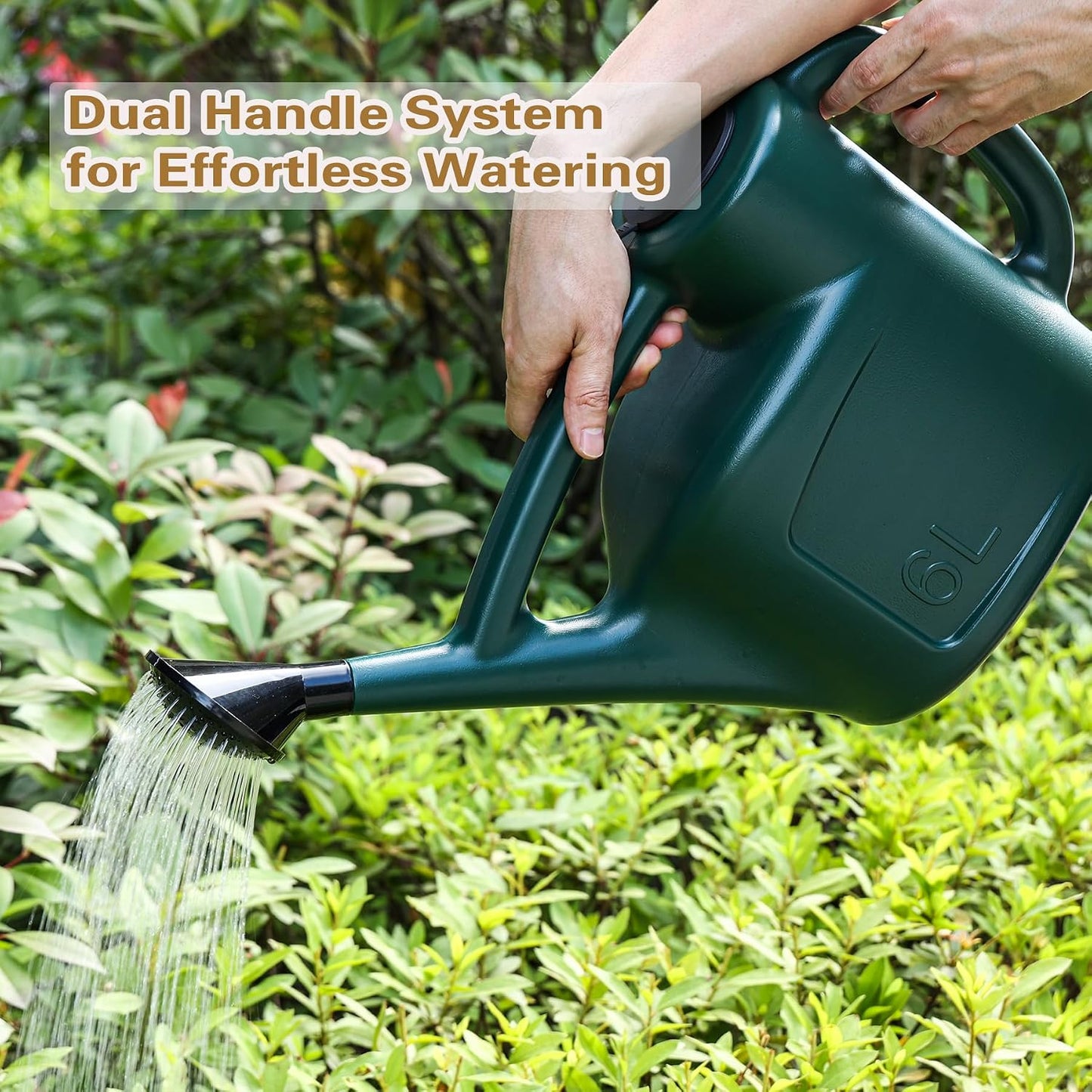 Small Watering Can for Indoor Plants, 0.8 Gallon Plastic Plant Watering Can with Long Spout, Lid and Detachable Sprinkler Head, 3L Lightweight Watering Pot for House Plants and Garden Flower