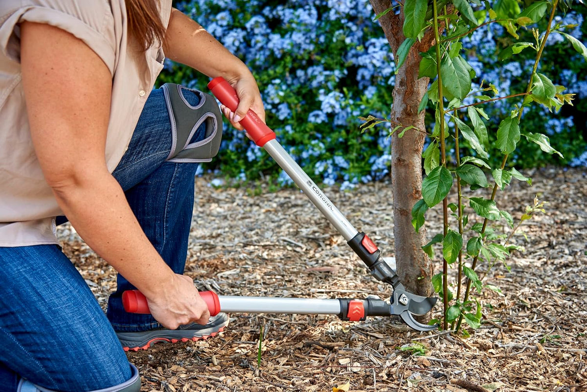 30-inch Branch Cutter ComfortGEL Bypass Loppers | Tree Trimmer Cuts Branches up to 1 ½-inches in Diameter | SL 3264