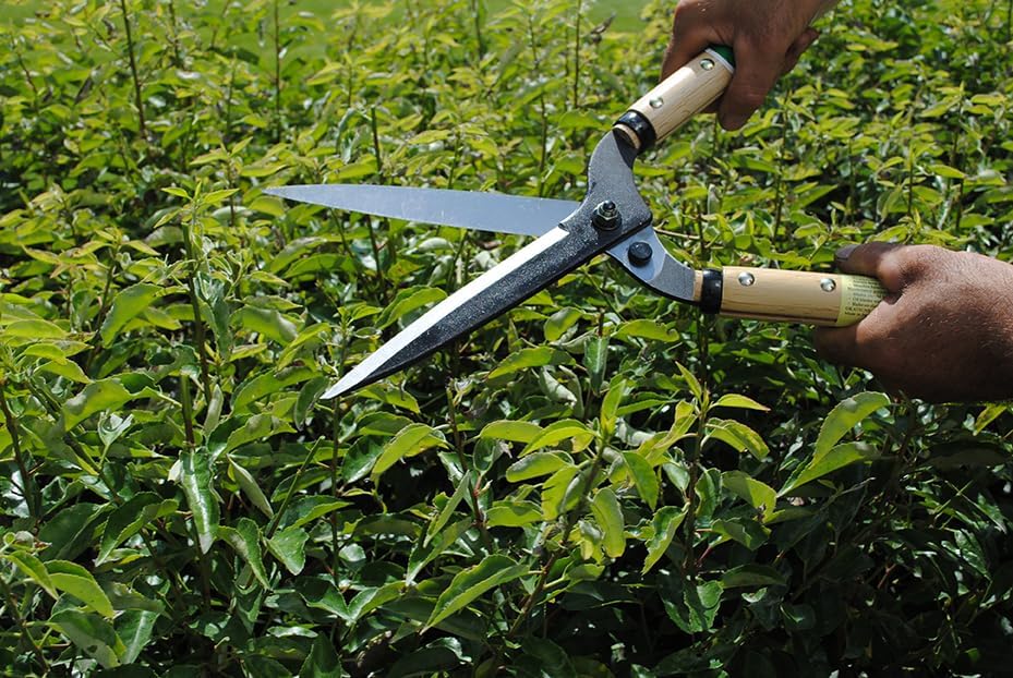 217 7744ai Trimming Shears, Type 60, Short Handle