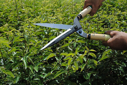 217 7744ai Trimming Shears, Type 60, Short Handle