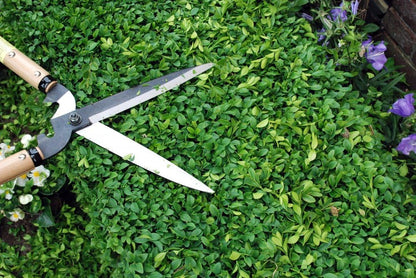 217 7744ai Trimming Shears, Type 60, Short Handle