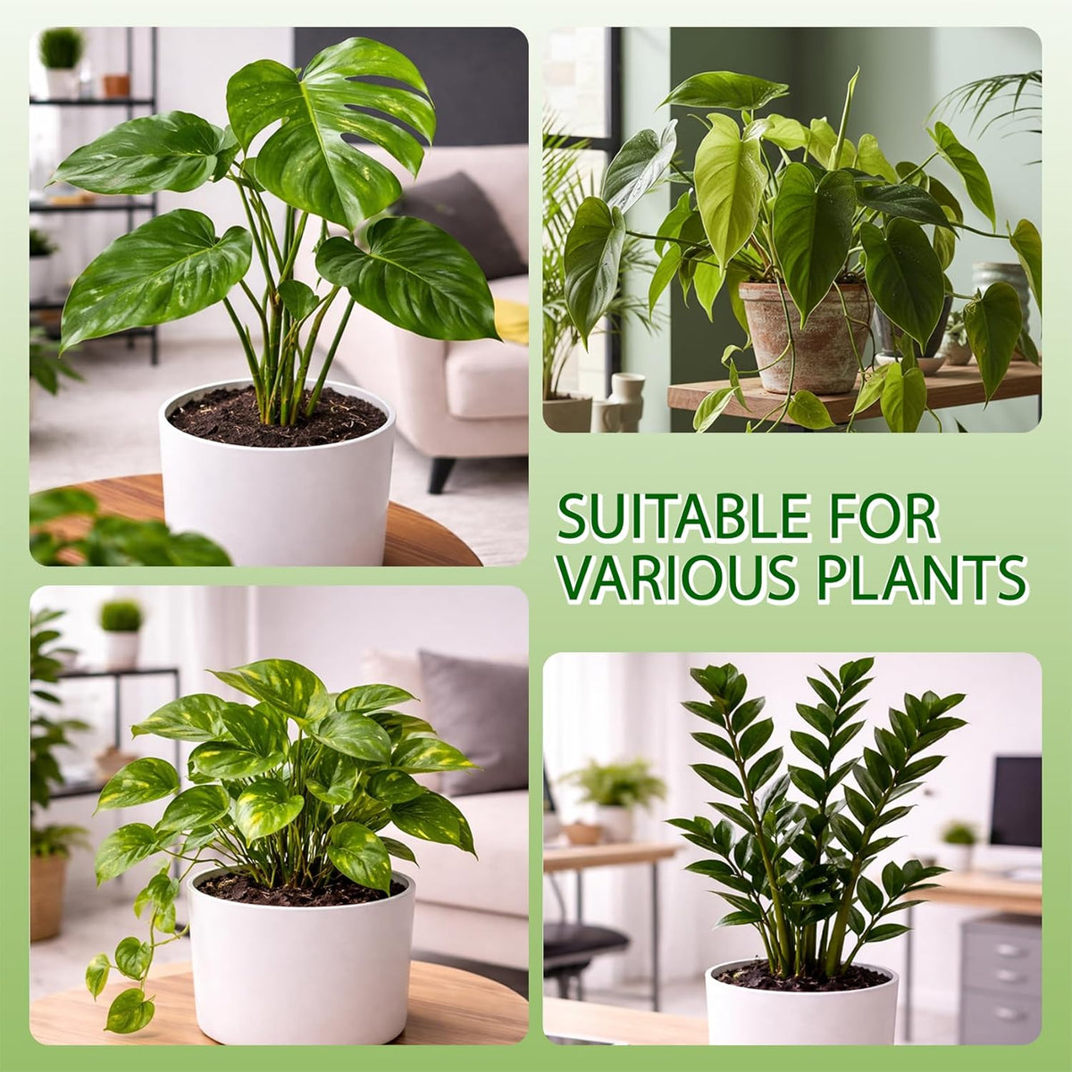 10Pcs Stackable Monstera Plant Support Stakes, Indoor Climbing Poles with Clips and Ties for Potted Plants and Pothos