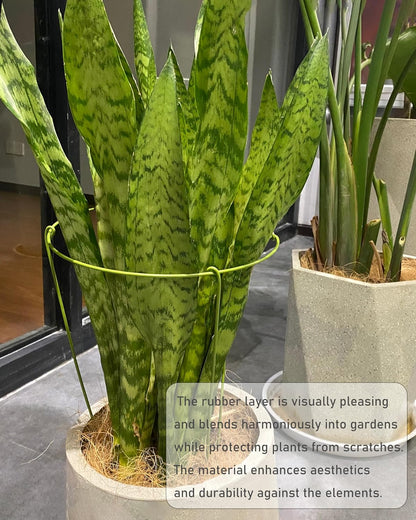 5 Pack Plant Support Stakes, Adjustable Plant Ring Cages with Green Rubber Wrapping, Ideal for Orchids, Indoor and Outdoor Potted Plants, 6" Wide x 11" High
