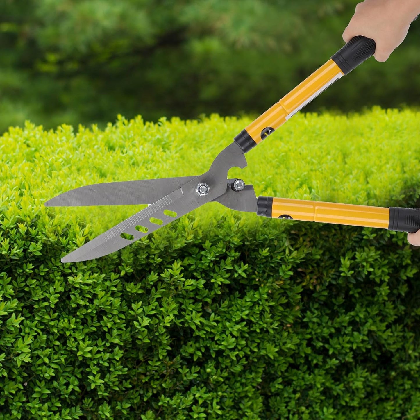 Portable Gardening Pruning Shear with Telescopic Handle, Professional Branch Cutter for Tree and Shrub Trimming, Outdoor Horticulture Lopper, 1pcs Gardening Trimmer