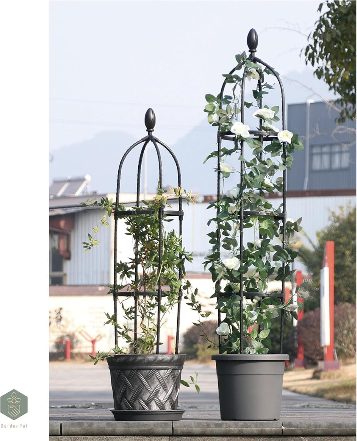 Garden Obelisk Trellis, Tomato Cage and Plant Support for Climbing Plants, Potted Tall Plant Stakes for Vine Vegetable Flower Support Outdoor Indoor - 1 Pack