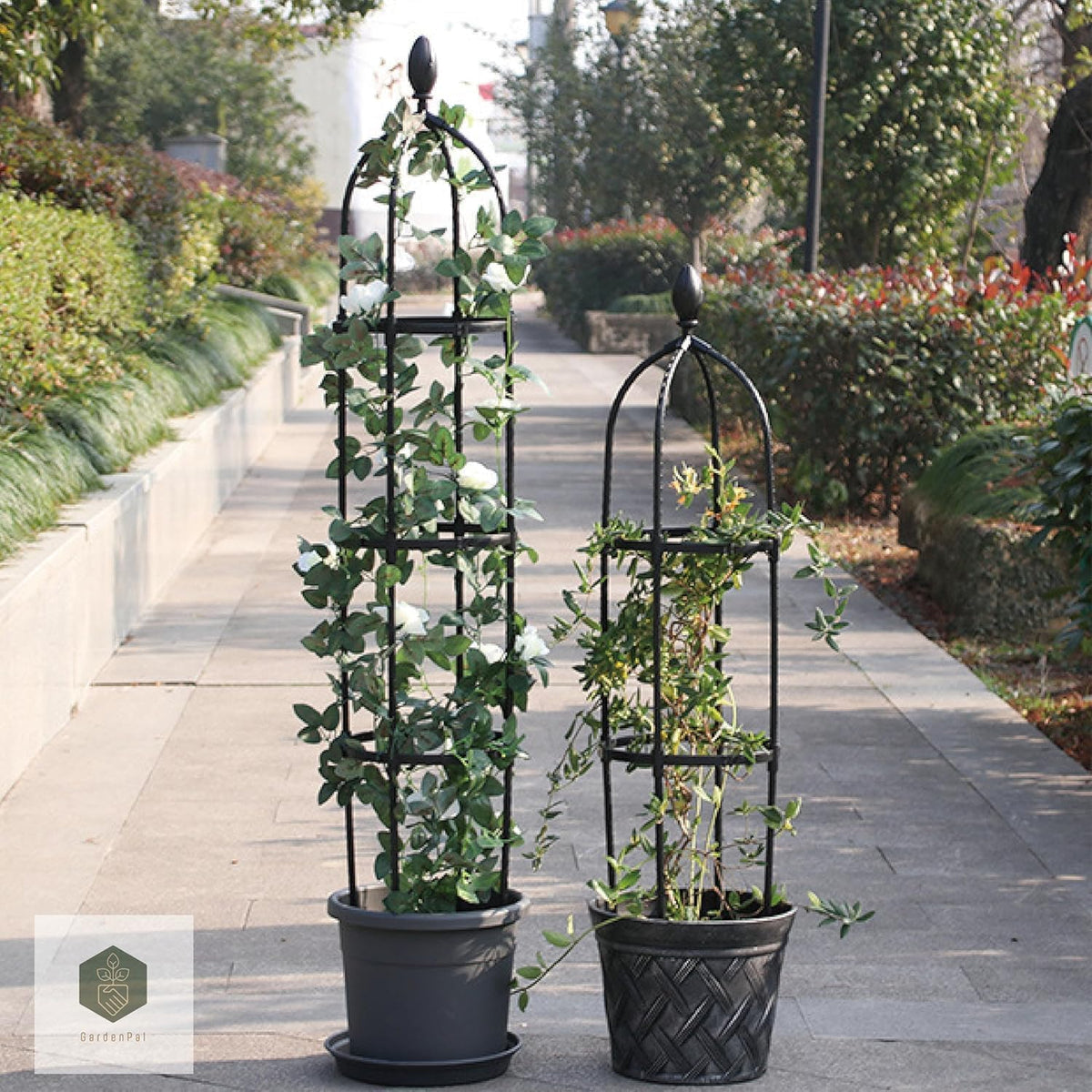 Garden Obelisk Trellis, Tomato Cage and Plant Support for Climbing Plants, Potted Tall Plant Stakes for Vine Vegetable Flower Support Outdoor Indoor - 1 Pack