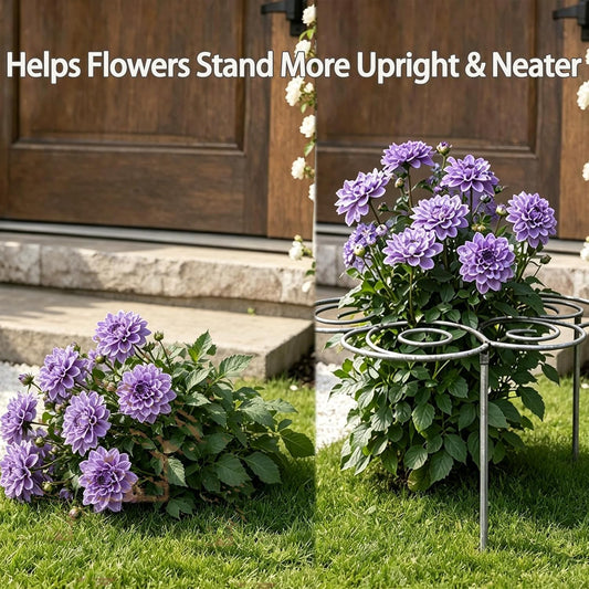 Metal Plant Support Ring, Heavy-Duty Peony & Dahlia Cages and Supports