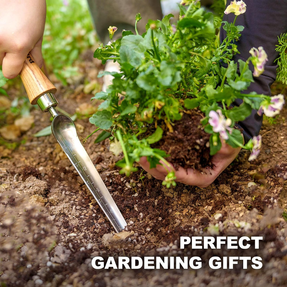 Stainless Steel Trowel, Garden Small Flower Hand Shovel, Potting Soils Scoop with Wood Handle, Gardening Bonsai Tools for Transplanting Digging Weeding Planting