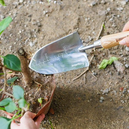 Stainless Steel Trowel, Garden Small Flower Hand Shovel, Potting Soils Scoop with Wood Handle, Gardening Bonsai Tools for Transplanting Digging Weeding Planting
