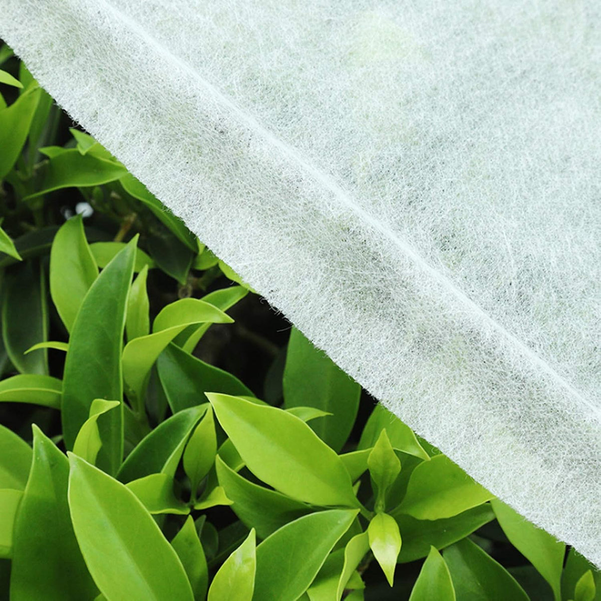 Plant Covers Freeze Protection, Floating Row Cover Garden Fabric Plant Cover for Winter Frost, Sun Protection (White)