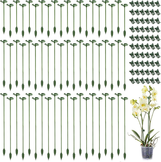 60 Pack Plant Support Stakes with 60 Pcs Plant Clips, Plastic Single Stem Plant Cage Support Ring, Garden Floral Flower Support Hoops for Indoor Outdoor Orchid Amaryllis Tomato Peony Lily Rose