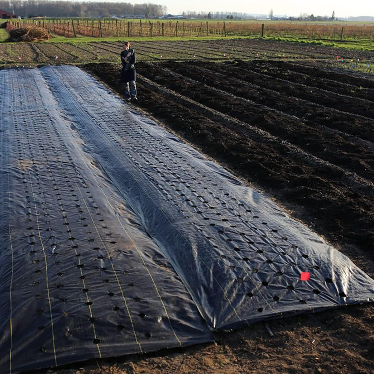 Driveway Fabric 6x300 ft - Commercial Weed Barrier, Heavy Duty 3.5OZ Landscape Fabric for Road, French Drain, Erosion Control, Construction Projects