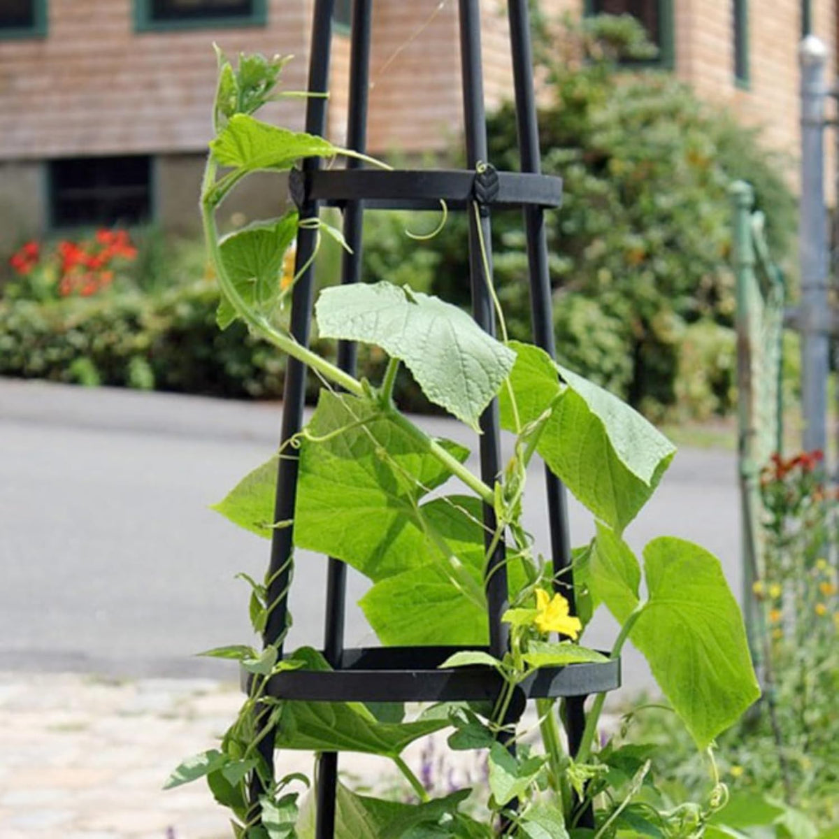 Achla Designs OBL-01, 61-in Wrought Iron Garden Obelisk Trellis, H, Graphite