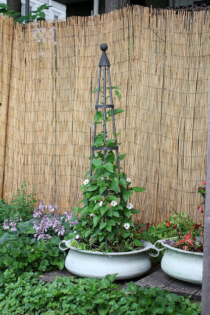 Achla Designs OBL-01, 61-in Wrought Iron Garden Obelisk Trellis, H, Graphite