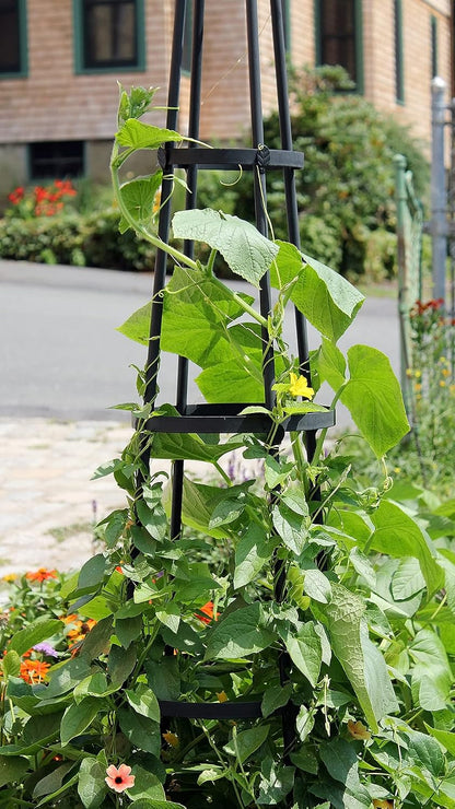 Achla Designs OBL-01, 61-in Wrought Iron Garden Obelisk Trellis, H, Graphite