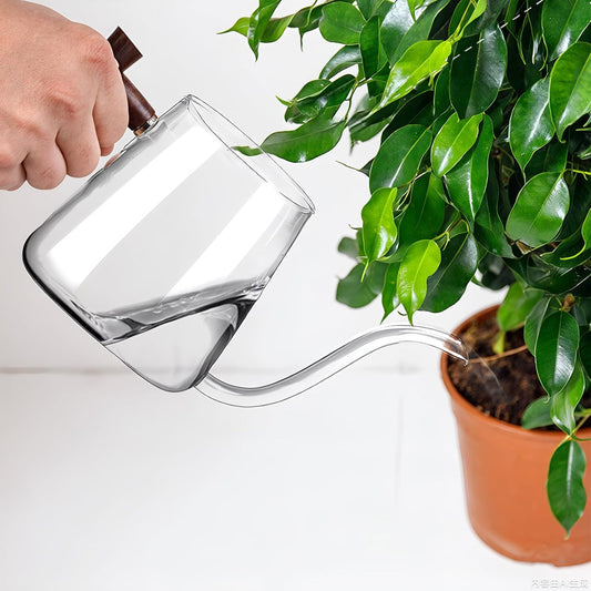 Watering Can Indoor Plants, 27 OZ Glass Watering Can, Long Curved Spout