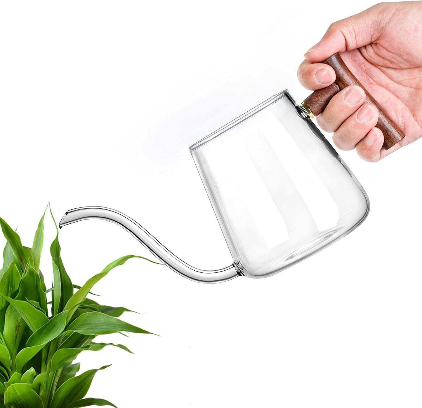 Watering Can Indoor Plants, 27 OZ Glass Watering Can, Long Curved Spout
